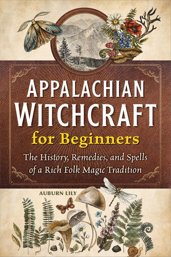 The Dungeon Store - Book Cover - Appalachian Witchcraft for Beginners: The History, Remedies, and Spells of a Rich Folk Magic Tradition by Auburn Lily