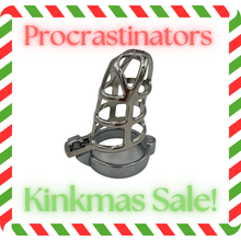 Load image into Gallery viewer, Procrastinators Kinkmas Sale - Cock Cage Stainless Steel Cell Cage -  The Dungeon Store