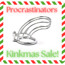 Load image into Gallery viewer, Procrastinators Kinkmas Sale - Cock Cage Stainless Steel Bird Cage The Dungeon Store