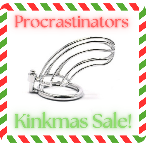 Procrastinators Kinkmas Sale - Cock Cage Stainless Steel Bird Cage The Dungeon Store